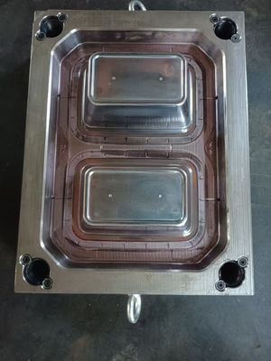 컵/배우/배지/스푼 ABS/PP/PA/PA6/PA6 GF/POM/HDPE/폴리카보네트/PMMA/PET/PVC에 맞춤형 부엌 플라스틱 주사형